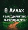Аватара пользователя