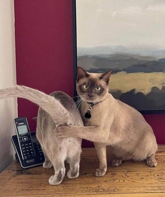 17.jpg (104.66 КБ) 4830 просмотров 17.jpg