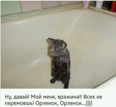 13.jpg (67.47 КБ) 4494 просмотра 13.jpg