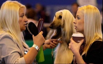 12.jpg (64.18 КБ) 4666 просмотров 12.jpg