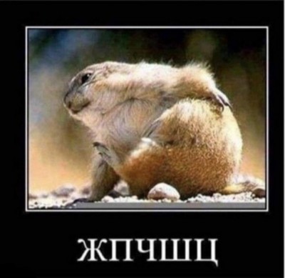 13.jpg (86.03 КБ) 4375 просмотров 13.jpg