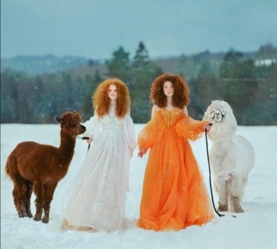 15.jpg (64.03 КБ) 4476 просмотров 15.jpg