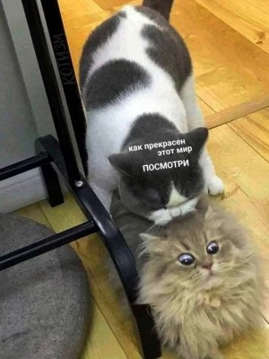 13.jpg (111.88 КБ) 4318 просмотров 13.jpg