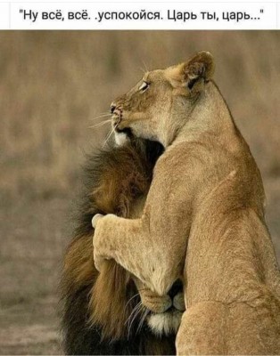 14.jpg (119.2 КБ) 4356 просмотров 14.jpg