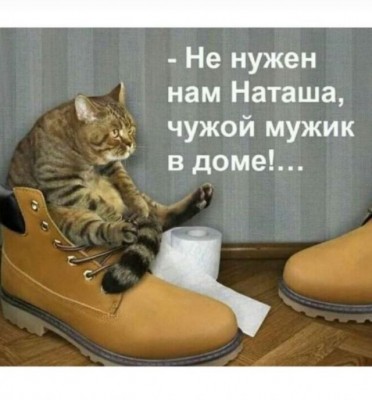 17.jpg (74.8 КБ) 4348 просмотров 17.jpg