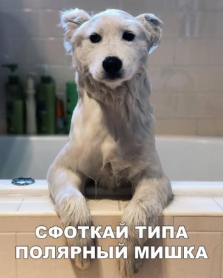 11.jpg (64.34 КБ) 4129 просмотров 11.jpg