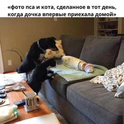 14.jpg (84.36 КБ) 4180 просмотров 14.jpg