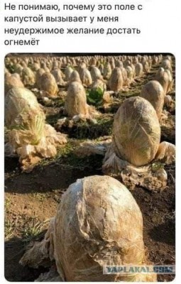 15.jpg (109.37 КБ) 6956 просмотров 15.jpg