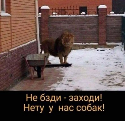 14.jpg (79.51 КБ) 6789 просмотров 14.jpg