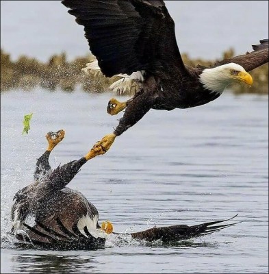 15.jpg (104.12 КБ) 6886 просмотров 15.jpg