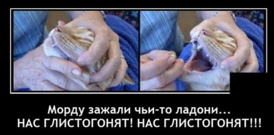 11.jpg (70.9 КБ) 6699 просмотров 11.jpg