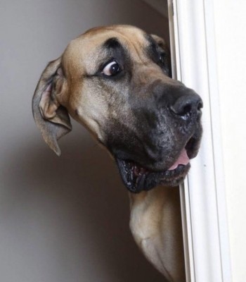 14.jpg (65.89 КБ) 6625 просмотров 14.jpg