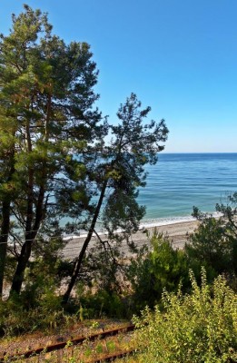 3.jpg (451.79 КБ) 3010 просмотров 3.jpg