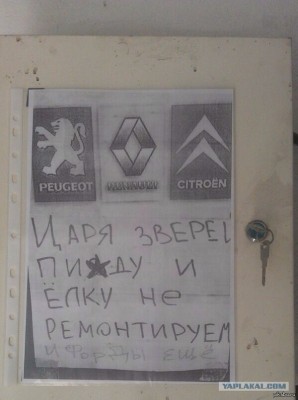 n6AeW9kIjDo.jpg