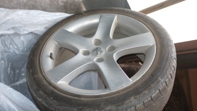 DSCF5342.JPG