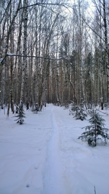 WP_20160107_15_45_51_Pro.jpg (2.12 МБ) 3503 просмотра WP_20160107_15_45_51_Pro.jpg