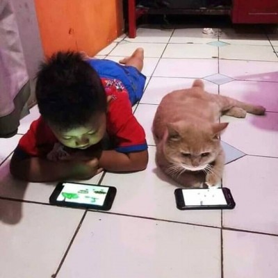 13.jpg (91.36 КБ) 2200 просмотров 13.jpg