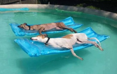 12.jpg (64.28 КБ) 2002 просмотра 12.jpg