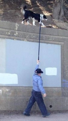 15.jpg (63.43 КБ) 1973 просмотра 15.jpg