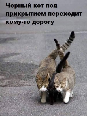 14.jpg (66.32 КБ) 1972 просмотра 14.jpg