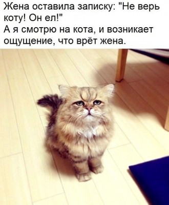 16.jpg (96.23 КБ) 1952 просмотра 16.jpg