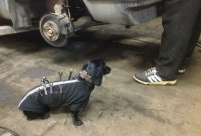 15.jpg (78.78 КБ) 1917 просмотров 15.jpg