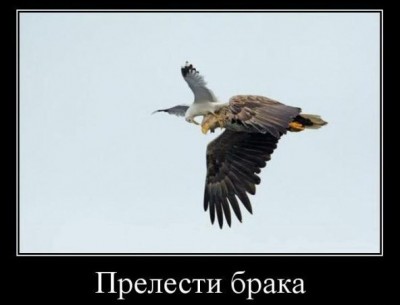 11.jpg (37.32 КБ) 2036 просмотров 11.jpg