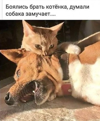 16.jpg (89.33 КБ) 2034 просмотра 16.jpg