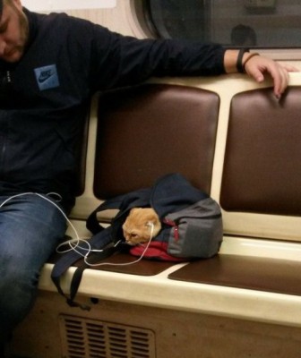 19.jpg (64.97 КБ) 1970 просмотров 19.jpg