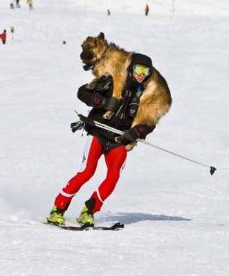 14.jpg (78.5 КБ) 2623 просмотра 14.jpg