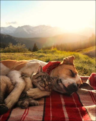 12.jpg (54.02 КБ) 2551 просмотр 12.jpg