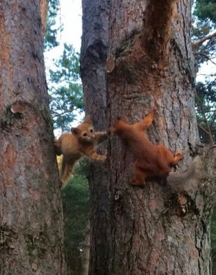 11.jpg (162.88 КБ) 2598 просмотров 11.jpg