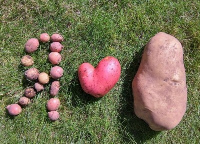 11.jpg (201.33 КБ) 2504 просмотра 11.jpg