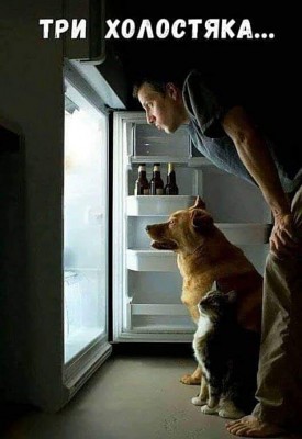 11.jpg (76.47 КБ) 2132 просмотра 11.jpg