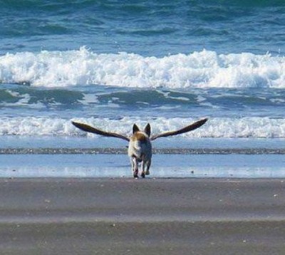 12.jpg (72.61 КБ) 2118 просмотров 12.jpg