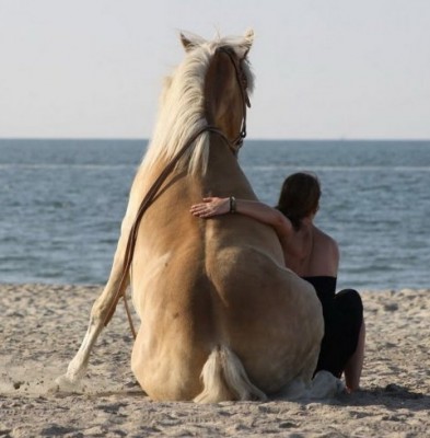 13.jpg (68.29 КБ) 1954 просмотра 13.jpg