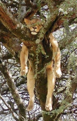 11.jpg (173.62 КБ) 1928 просмотров 11.jpg