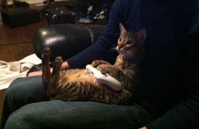 12.jpg (25.76 КБ) 1987 просмотров 12.jpg