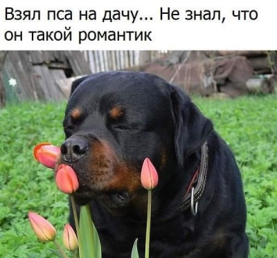 12.jpg (45.22 КБ) 1824 просмотра 12.jpg