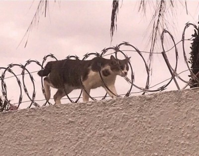 17.jpg (130.72 КБ) 2430 просмотров 17.jpg