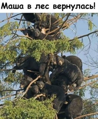 16.jpg (169.87 КБ) 2430 просмотров 16.jpg