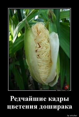 15.jpg (53.35 КБ) 2431 просмотр 15.jpg