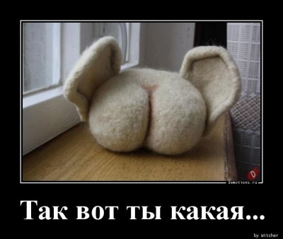 14.jpg (47.52 КБ) 2430 просмотров 14.jpg