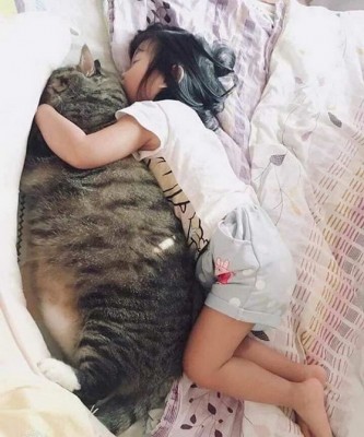 11.jpg (128.19 КБ) 2332 просмотра 11.jpg