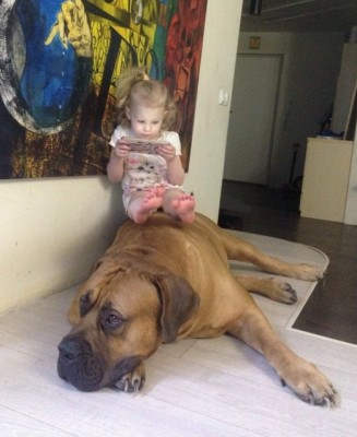 13.jpg (105.78 КБ) 2274 просмотра 13.jpg