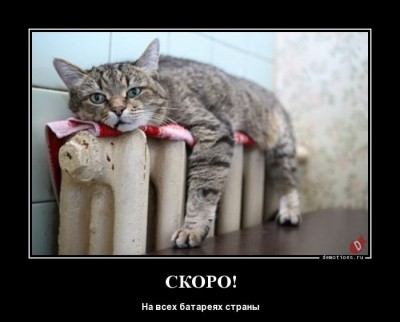 14.jpg (44.19 КБ) 2185 просмотров 14.jpg