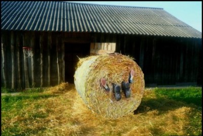 14.jpg (90.28 КБ) 2387 просмотров 14.jpg