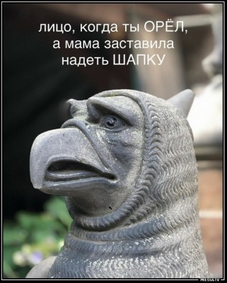 12.jpg (181.32 КБ) 2387 просмотров 12.jpg
