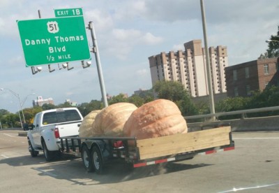 11.jpg (48.73 КБ) 2236 просмотров 11.jpg