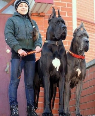 14.jpg (64.22 КБ) 2195 просмотров 14.jpg